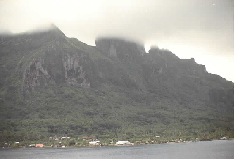 raetea01.jpg (25292 bytes)