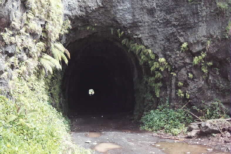 tunnel.jpg (61676 bytes)